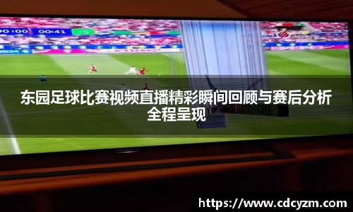 v大发彩神8iii