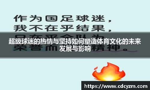 超级球迷的热情与坚持如何塑造体育文化的未来发展与影响
